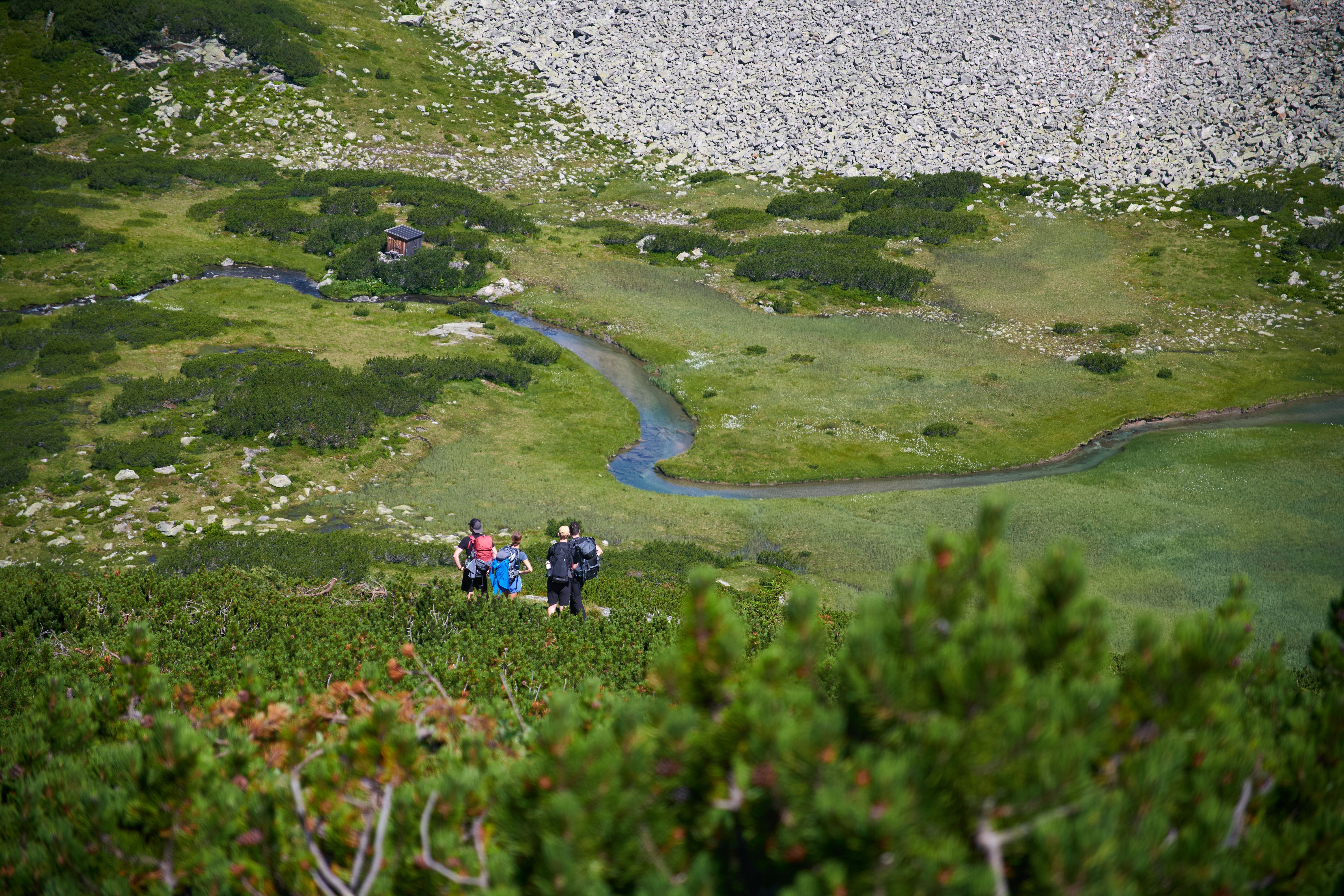 Hikers Exploring Serene Alpine Meadow in Austria · Free Stock Photo