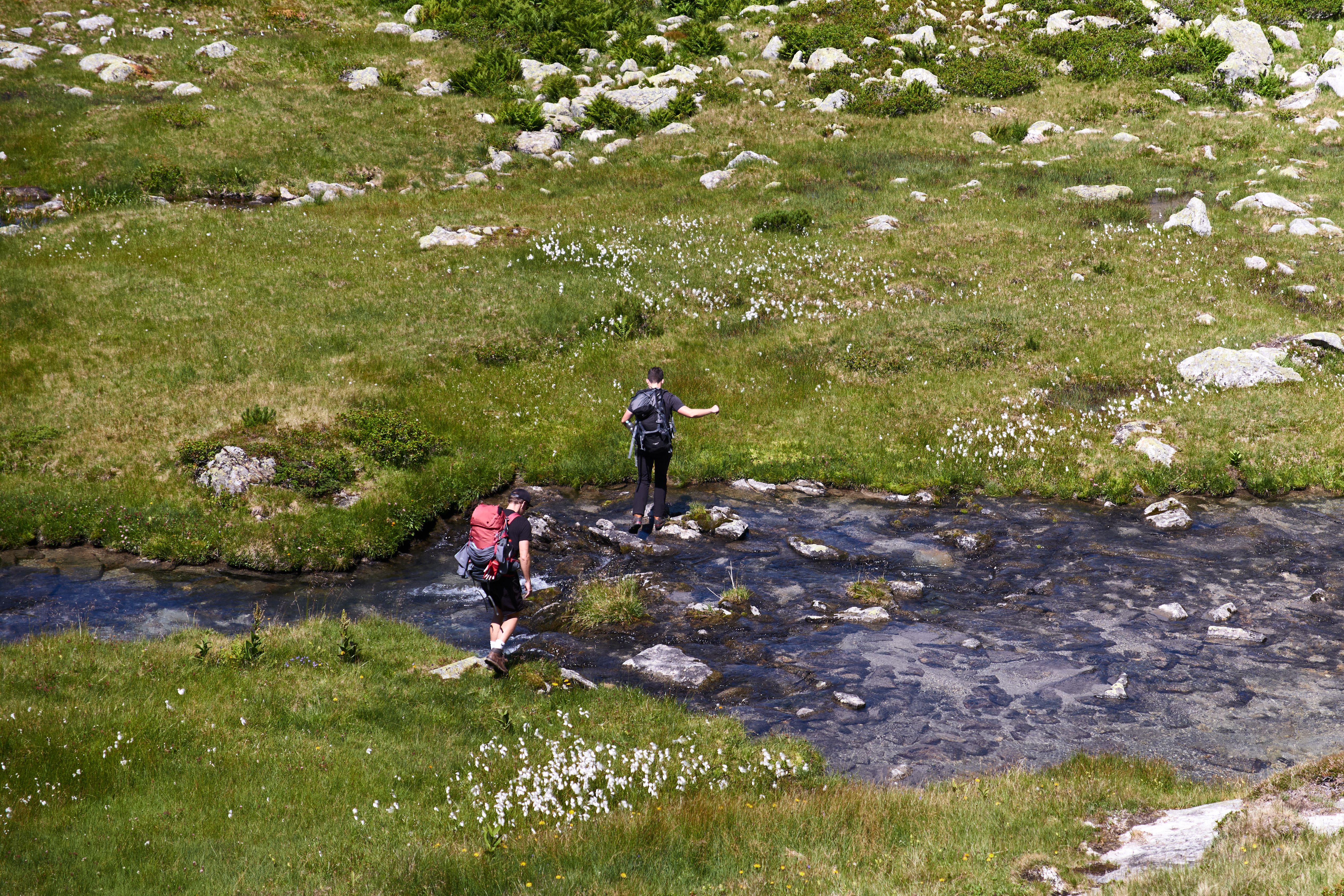 Two hikers navigate a clear stream in a scenic alpine meadow in Mittersill, Austria.