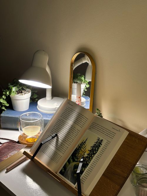 Free A calming indoor reading nook featuring a book, lamp, tea, and plants. Stock Photo