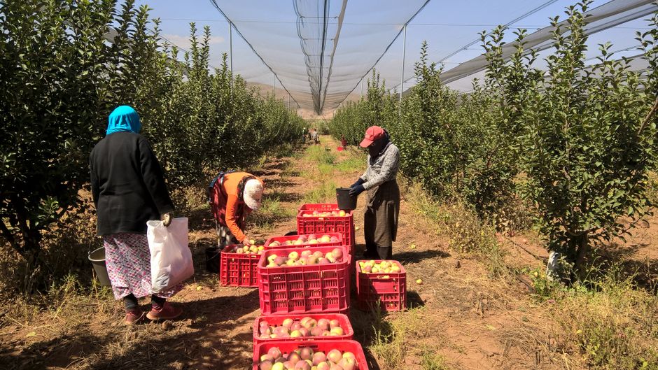Compliant Media Help Apple Skirt Child Labor Scandal Compliant Media Help Apple Skirt Child Labor Scandal