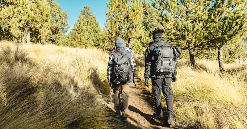 Exosquelette de randonnée : ce que l’assistance change sur les sentiers