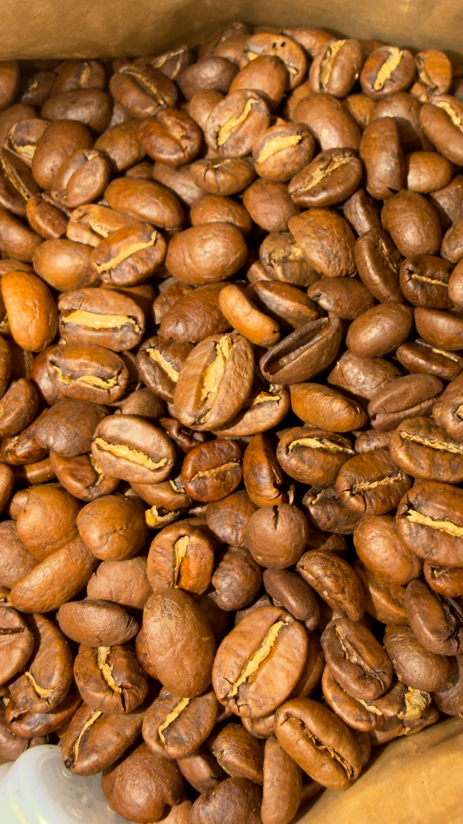 High-quality roasted coffee beans filling the frame, showcasing texture and rich brown tones.