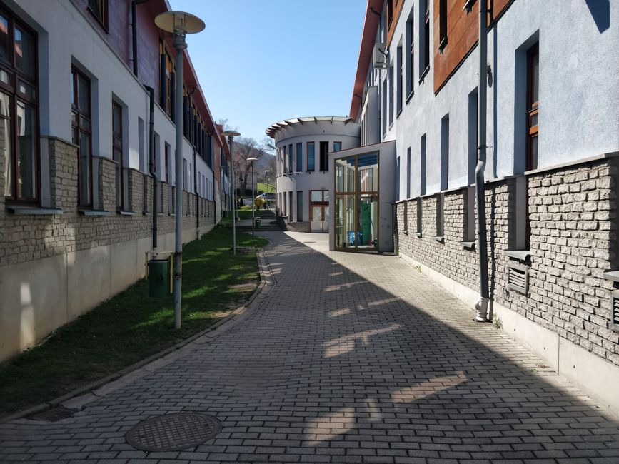 Funkční alternativa: Správa sázek a online hry bez aplikace