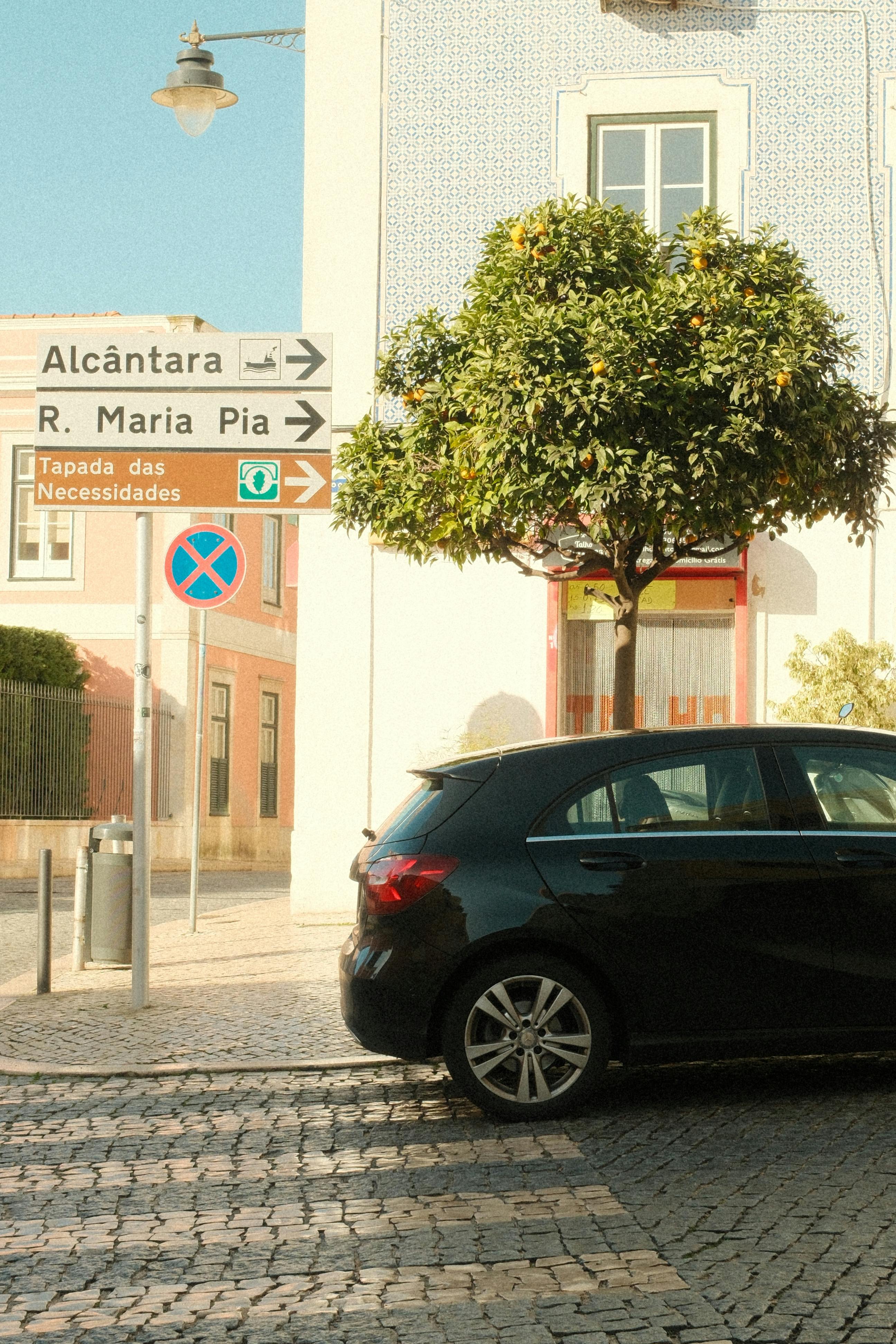 Freie Energie06 Kostenlos-Strom-Fuer-Das-Ganze-Haus (R)