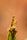 praying mantis