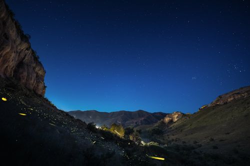 Free Captivating night sky over Free State, South Africa, illuminated by fireflies and stars. Stock Photo