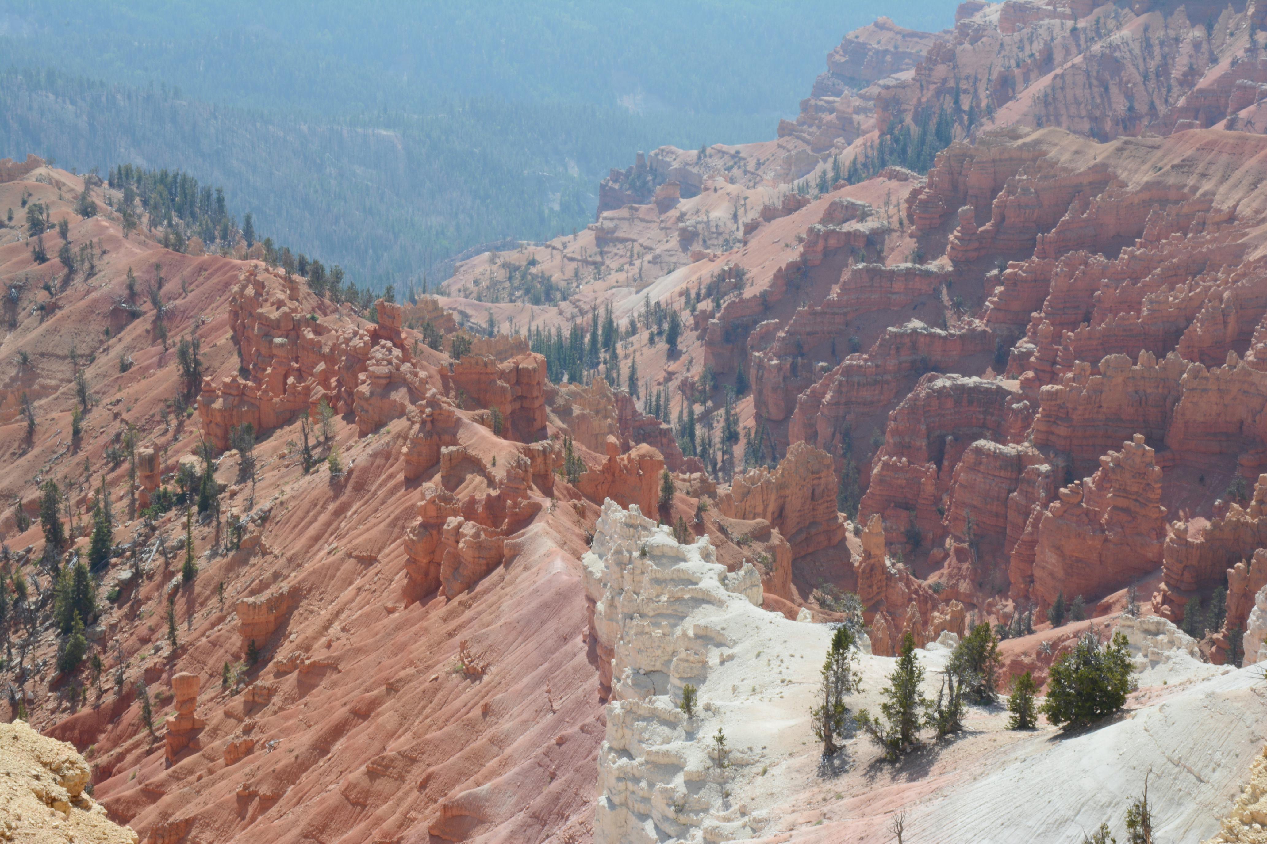 CeDAR Hosts 2nd Leadership Summit on Blockchain and Digital Assets — Photo by Jeff Wiles on Pexels