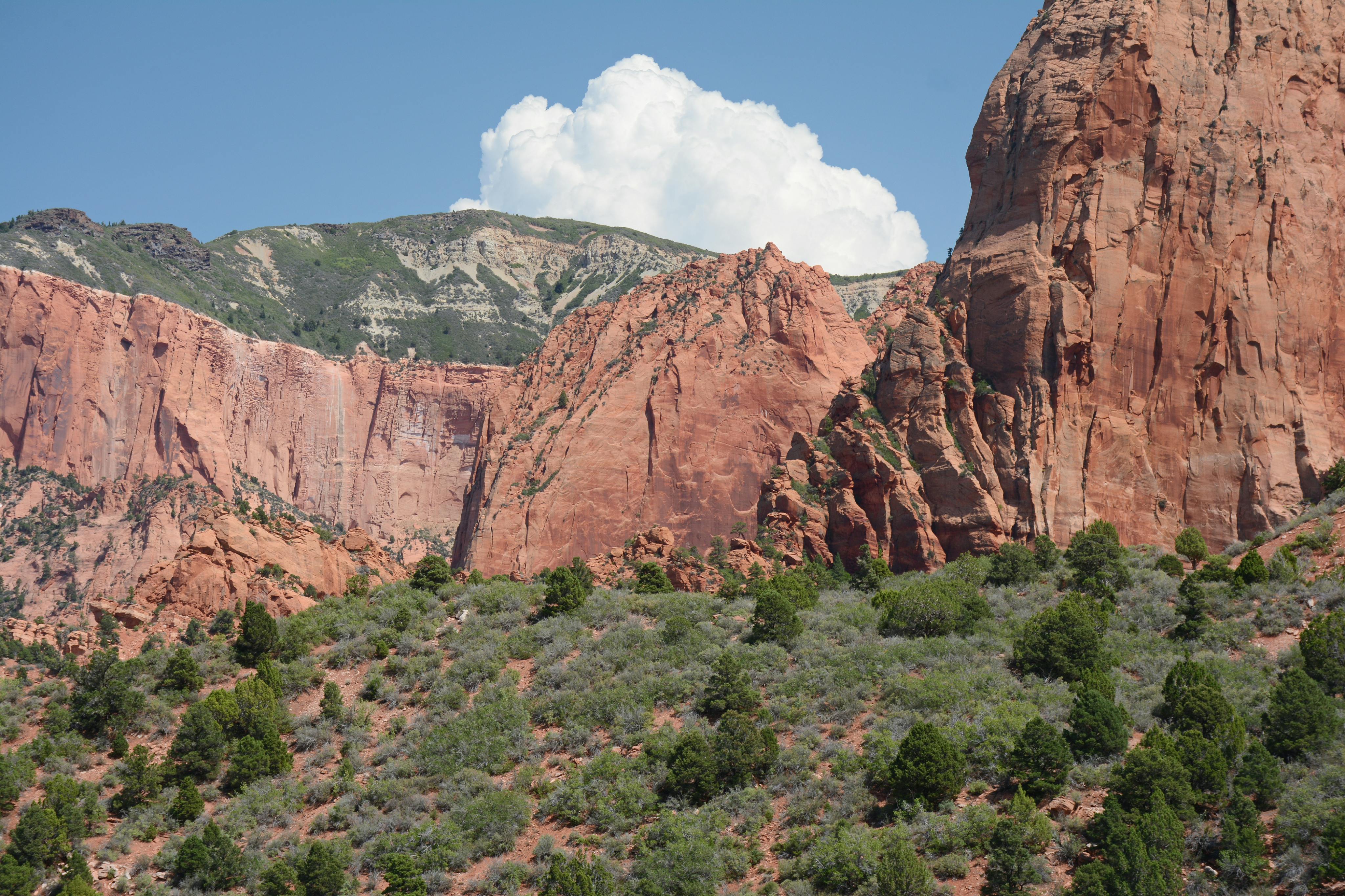 Additional information revealed about Cuba child kidnapping case, which followed custody fight - ABC4 Utah — Photo by Jeff Wi
