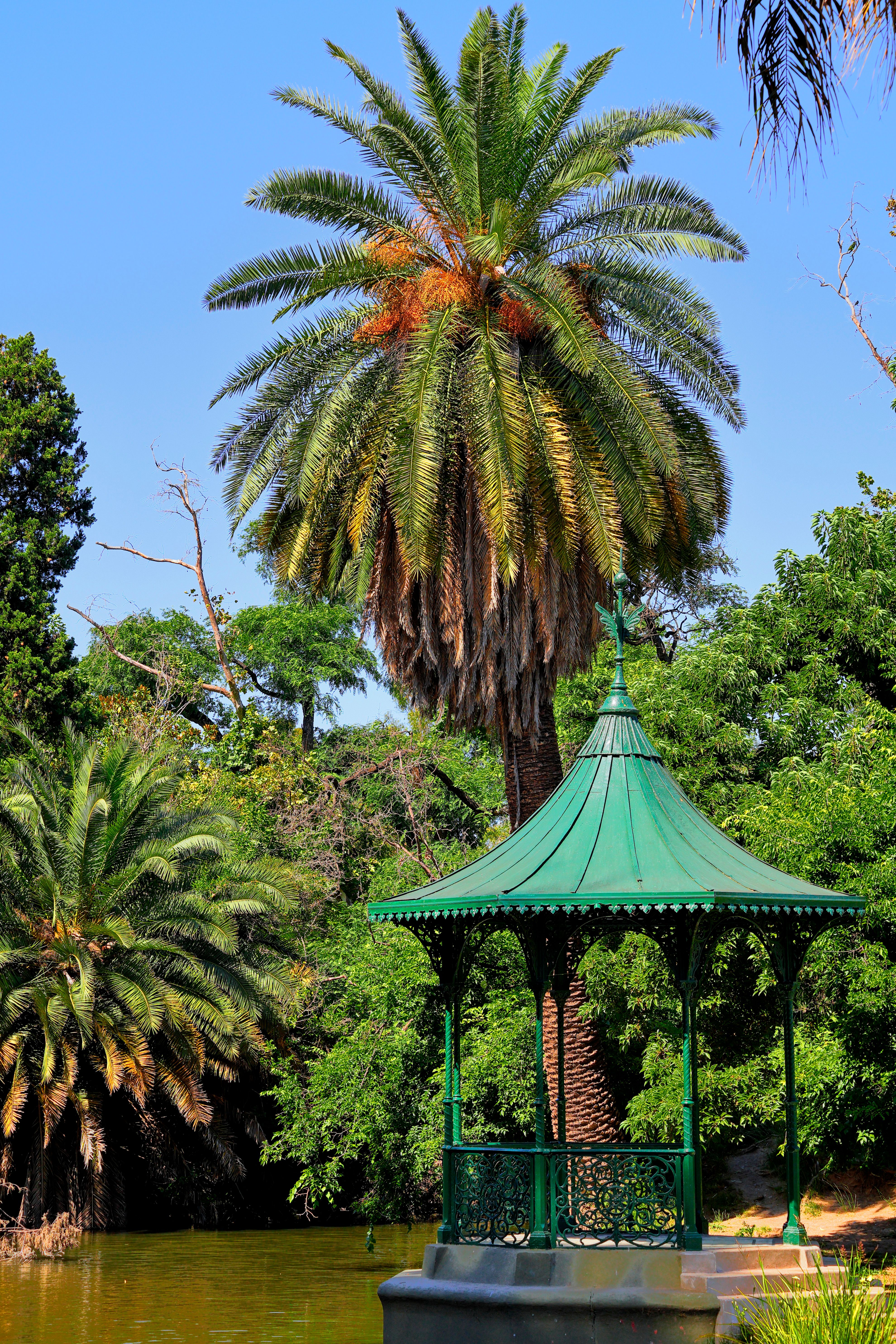 Scenic Gazebo in Lush Park Setting · Free Stock Photo