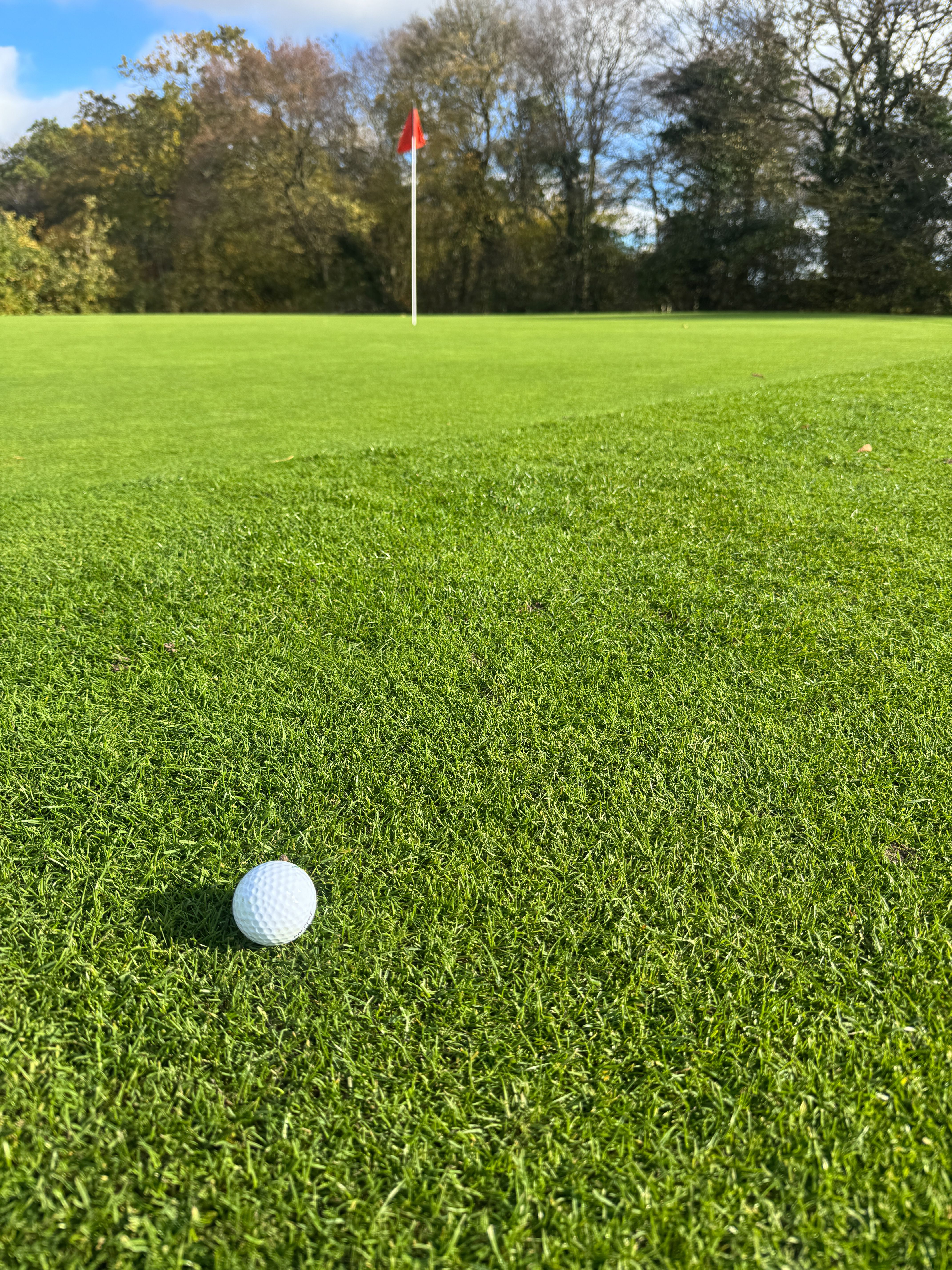 A golf ball in flight low over a fairway, an everyday example of projectile motion