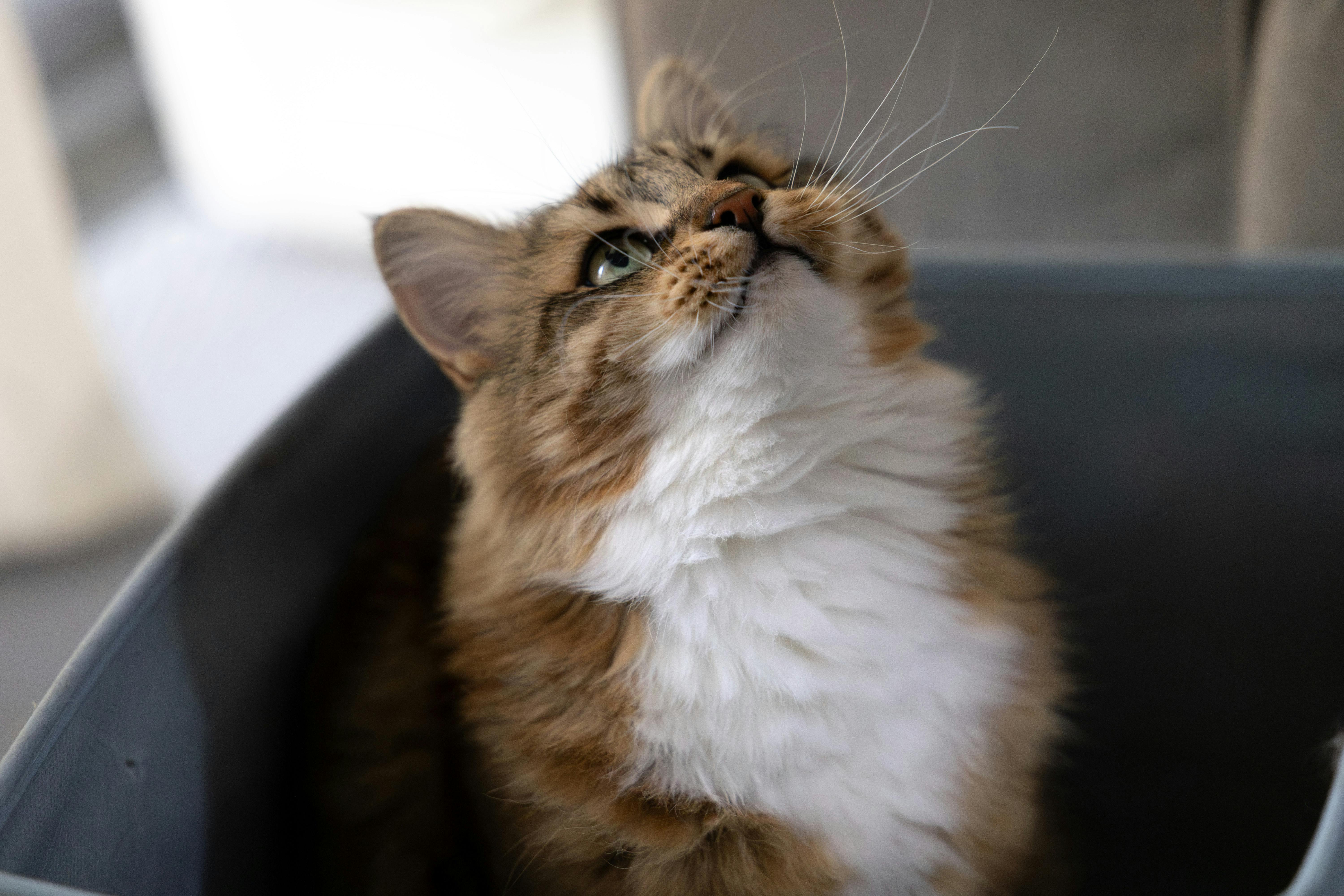 How to Make SEO-Friendly URLs - Why Most Websites Get It Wrong