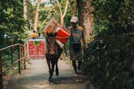 Man Leading Horse Carrying Heavy Load in Forest