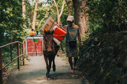 A man leads a load-bearing horse on a forest path, showcasing traditional transport methods.