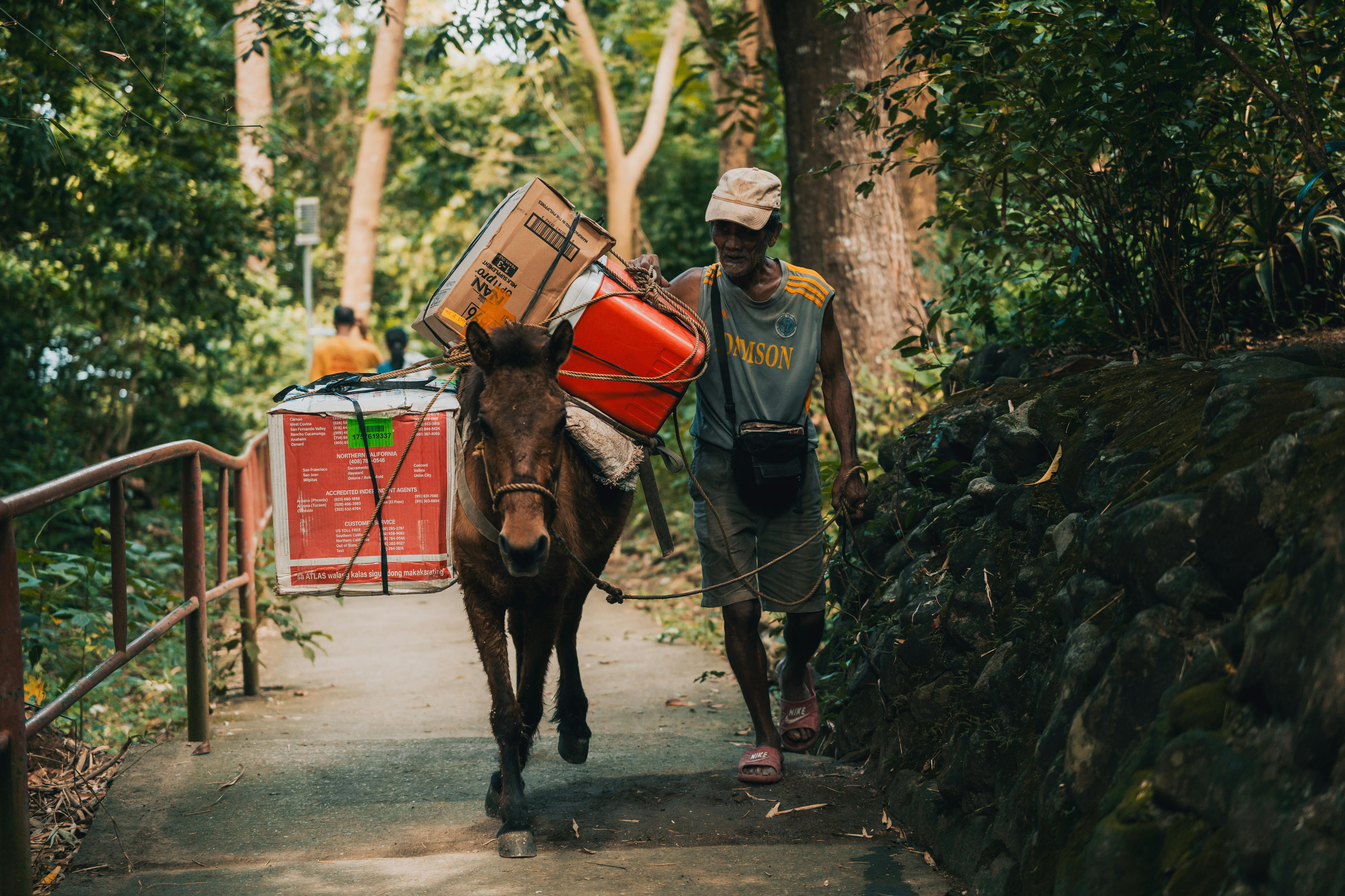 Man Leading Horse Carrying Heavy Load in Forest
