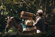 Man Leading Horse with Cargo in Forest Setting