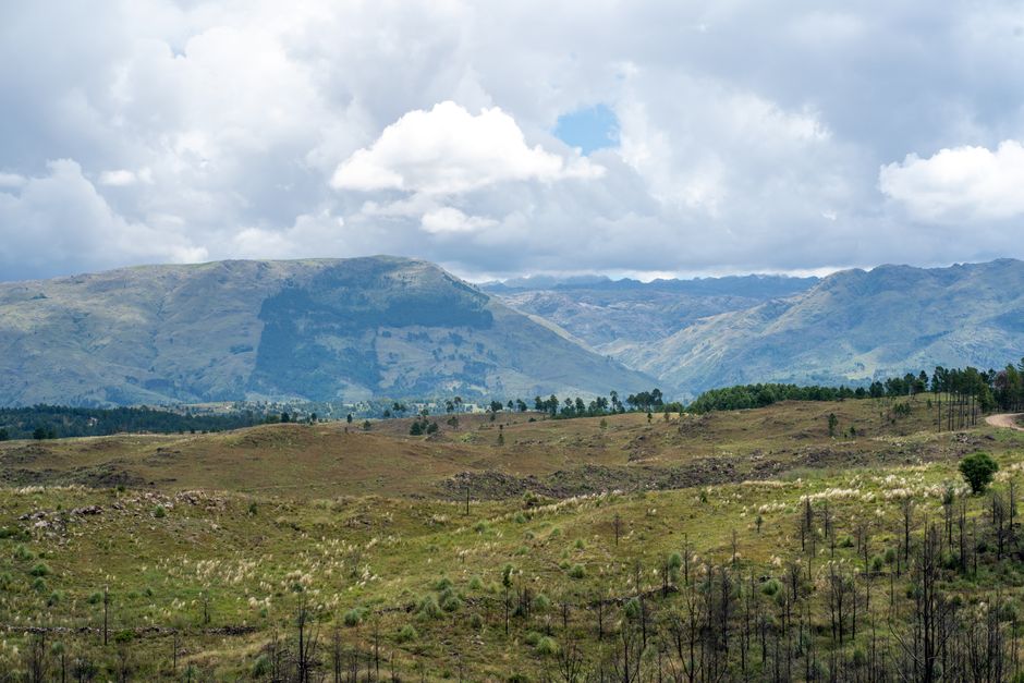 waktu terbaik berkunjung ke Wamena
