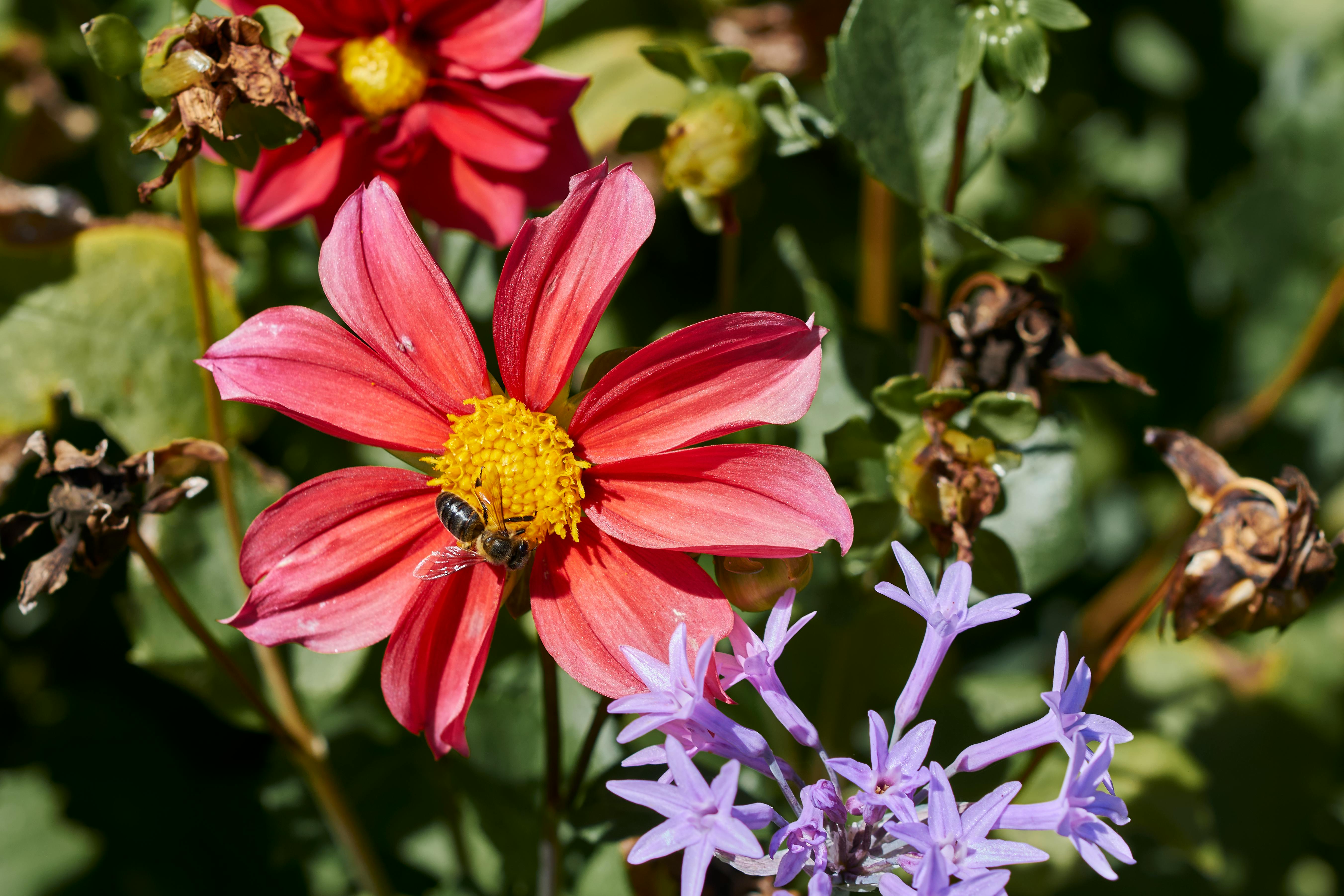 Ecuador: CSR cases supporting the bioeconomy and conservation across diverse territories