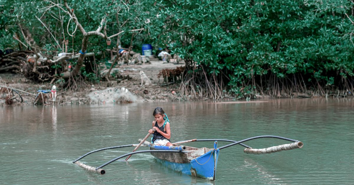 A young girl skillfully paddles a blue canoe in a serene mangrove area, surrounded by dense greenery