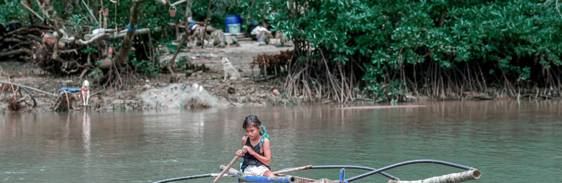 A young girl skillfully paddles a blue canoe in a serene mangrove area, surrounded by dense greenery