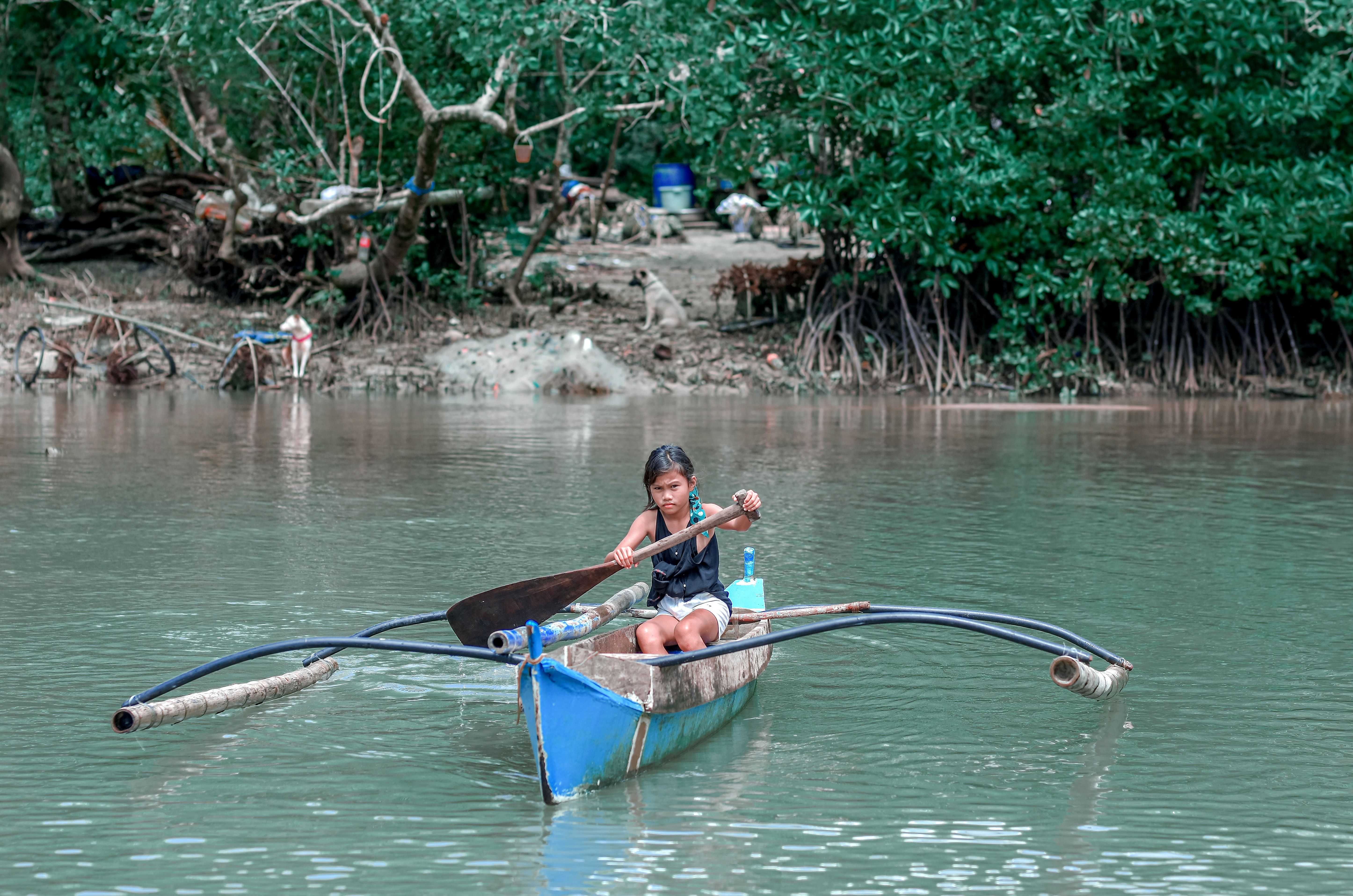 A young girl paddles a traditional outrigger canoe on a serene mangrove river.