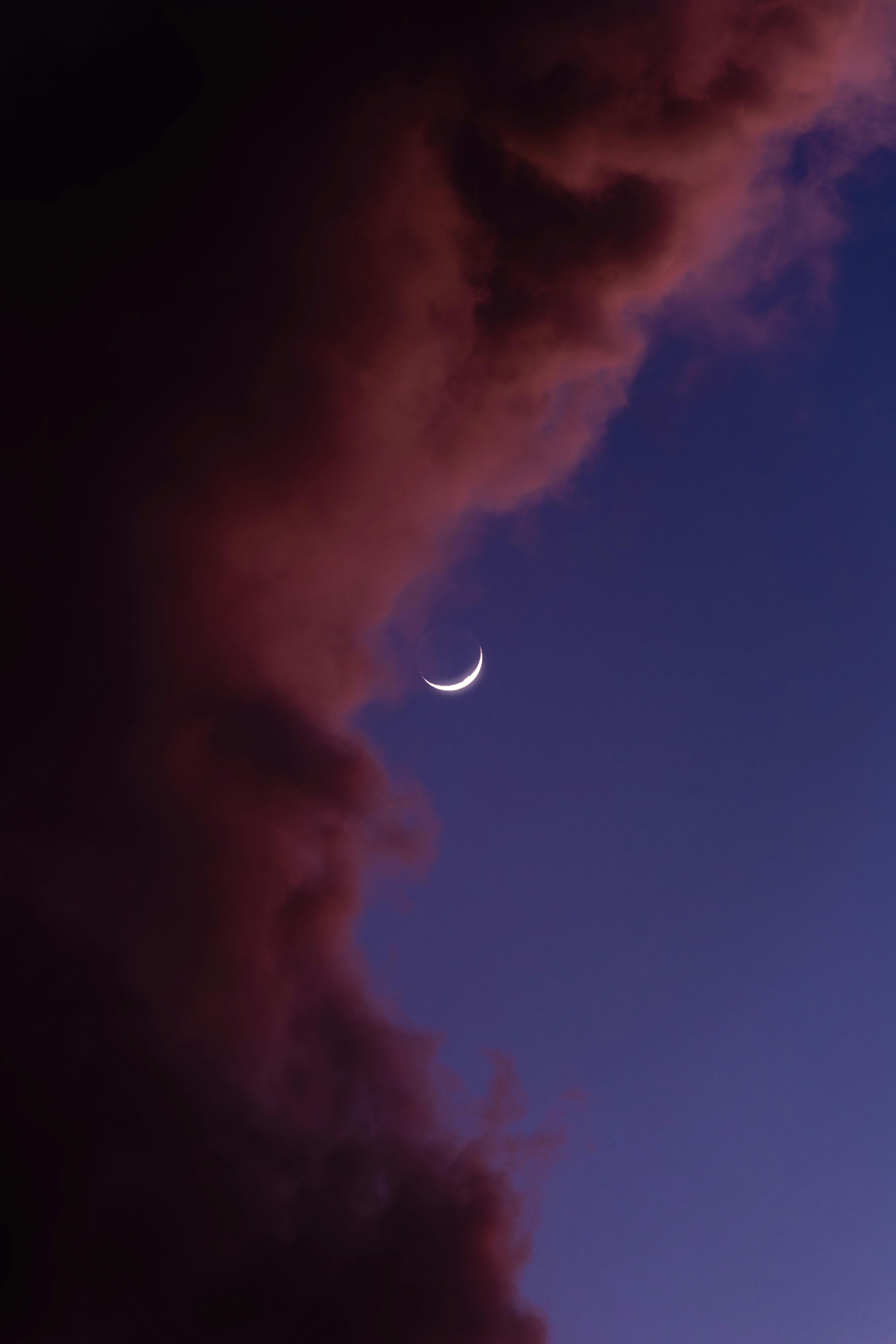 grátis Foto profissional grátis de 4k vertical, akumal, alegre Foto profissional