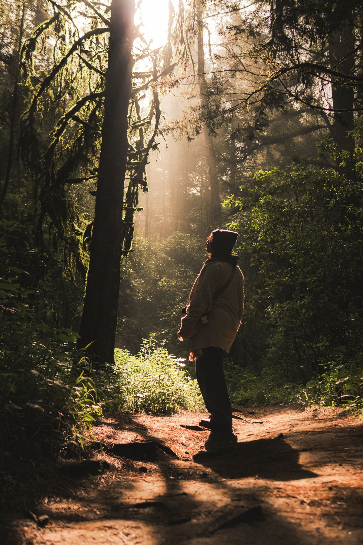 Person walking through a quiet outdoor path