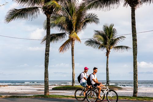 Free Two men cycling along a scenic tropical beach with palm trees, under a clear sky. Stock Photo