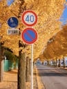 Autumn Road with Traffic Signs in Japan