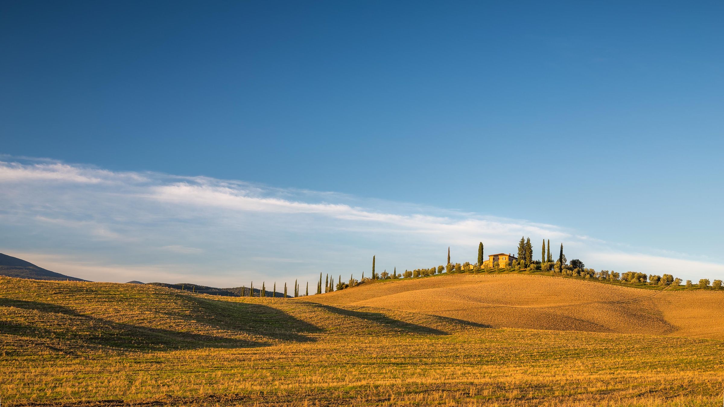 The Science of Ageless Vitality