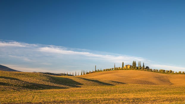 Scenic view of Tuscany's rolling hills with clear sky and golden sunlight.