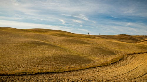 Braunes Feld Unter Blauem Himmel