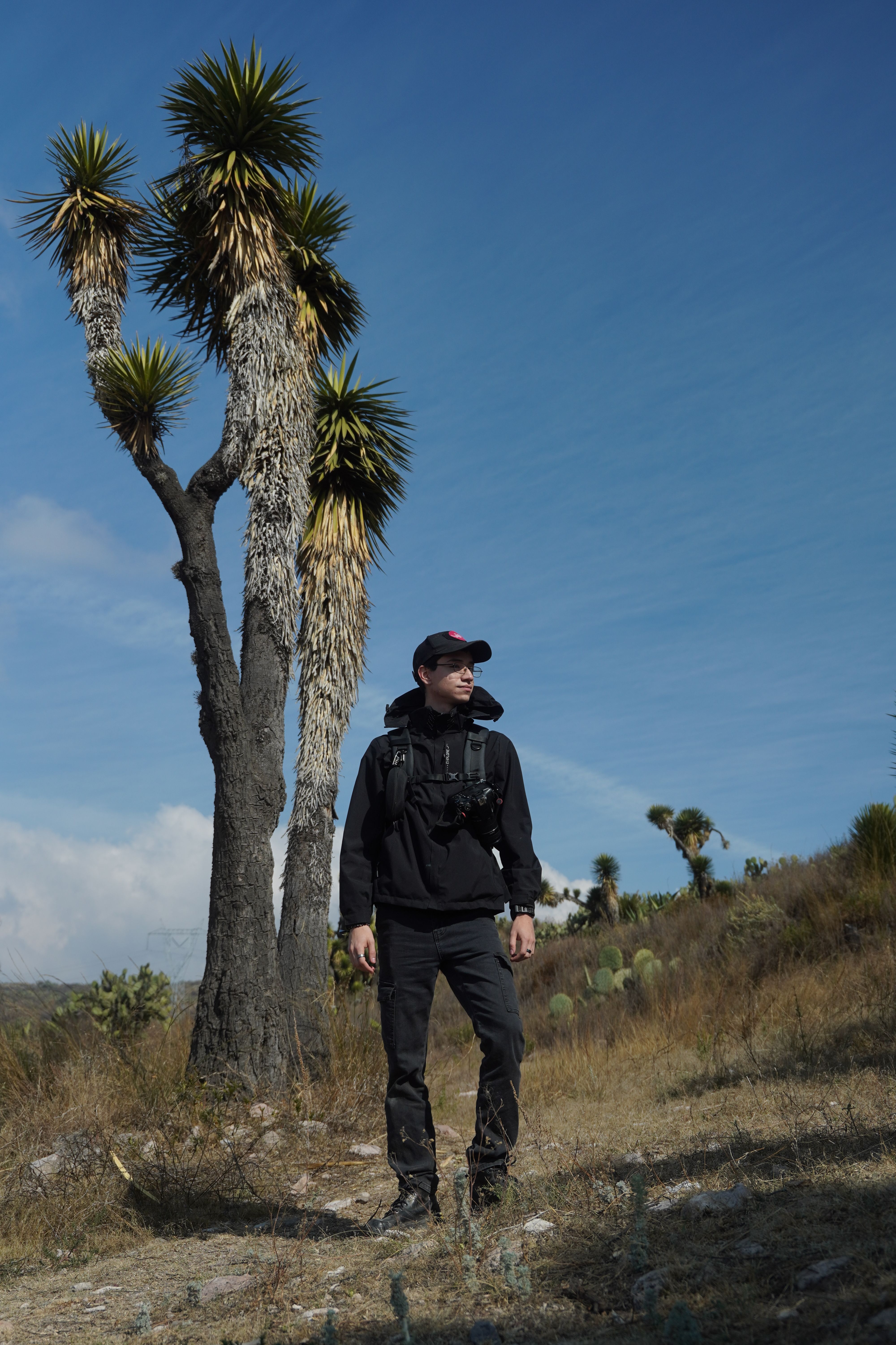 Man hiking in a desert environment with tall yucca trees and clear blue sky.