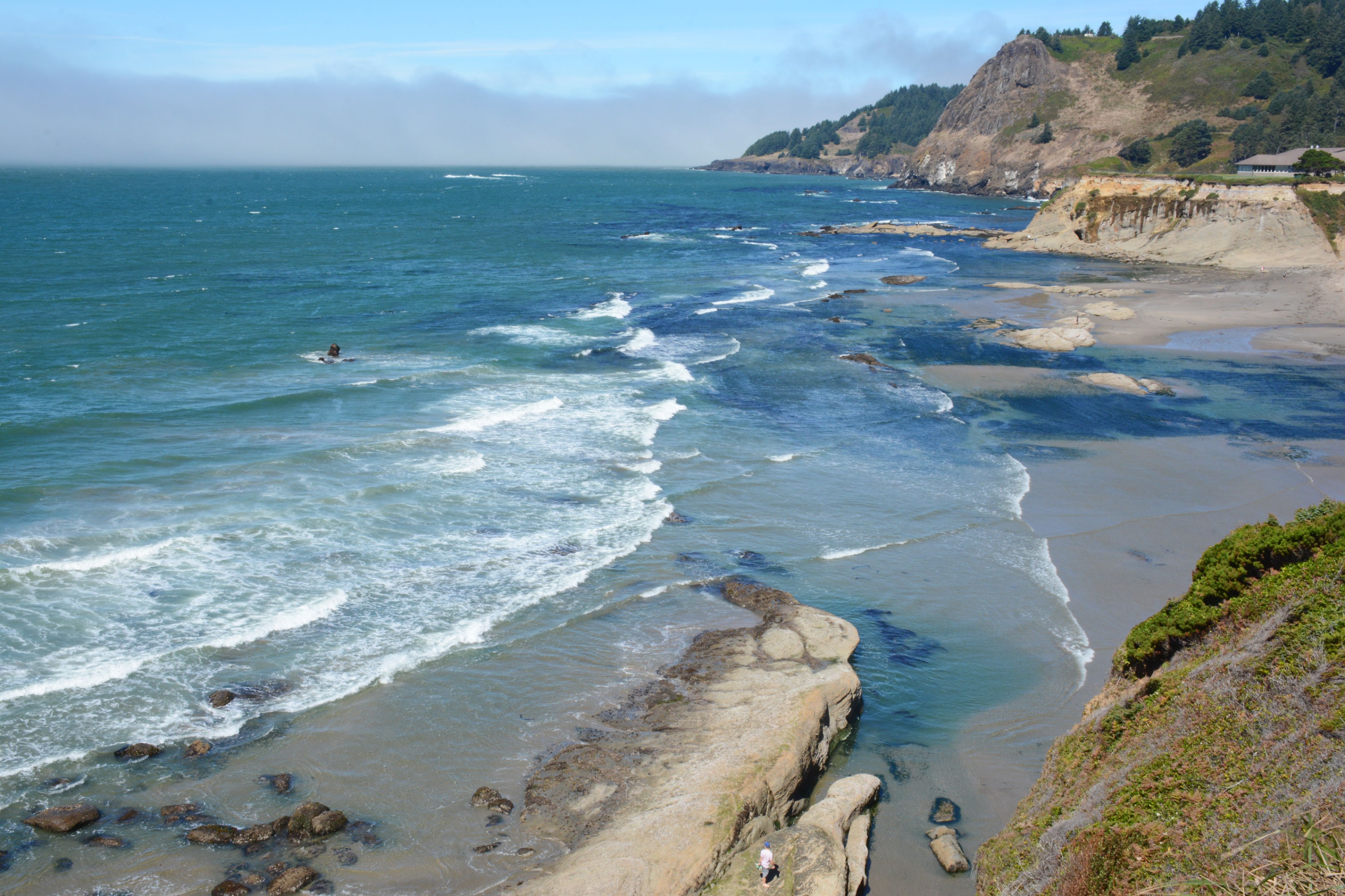 A forested headland on the Oregon Coast Trail
