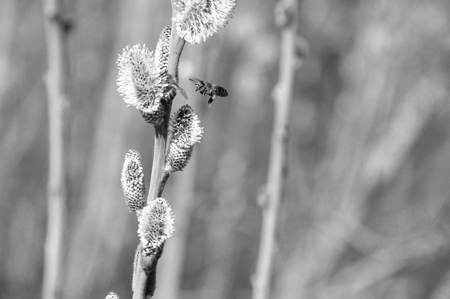 Managing Seasonal Allergies for an Active Outdoor Lifestyle
