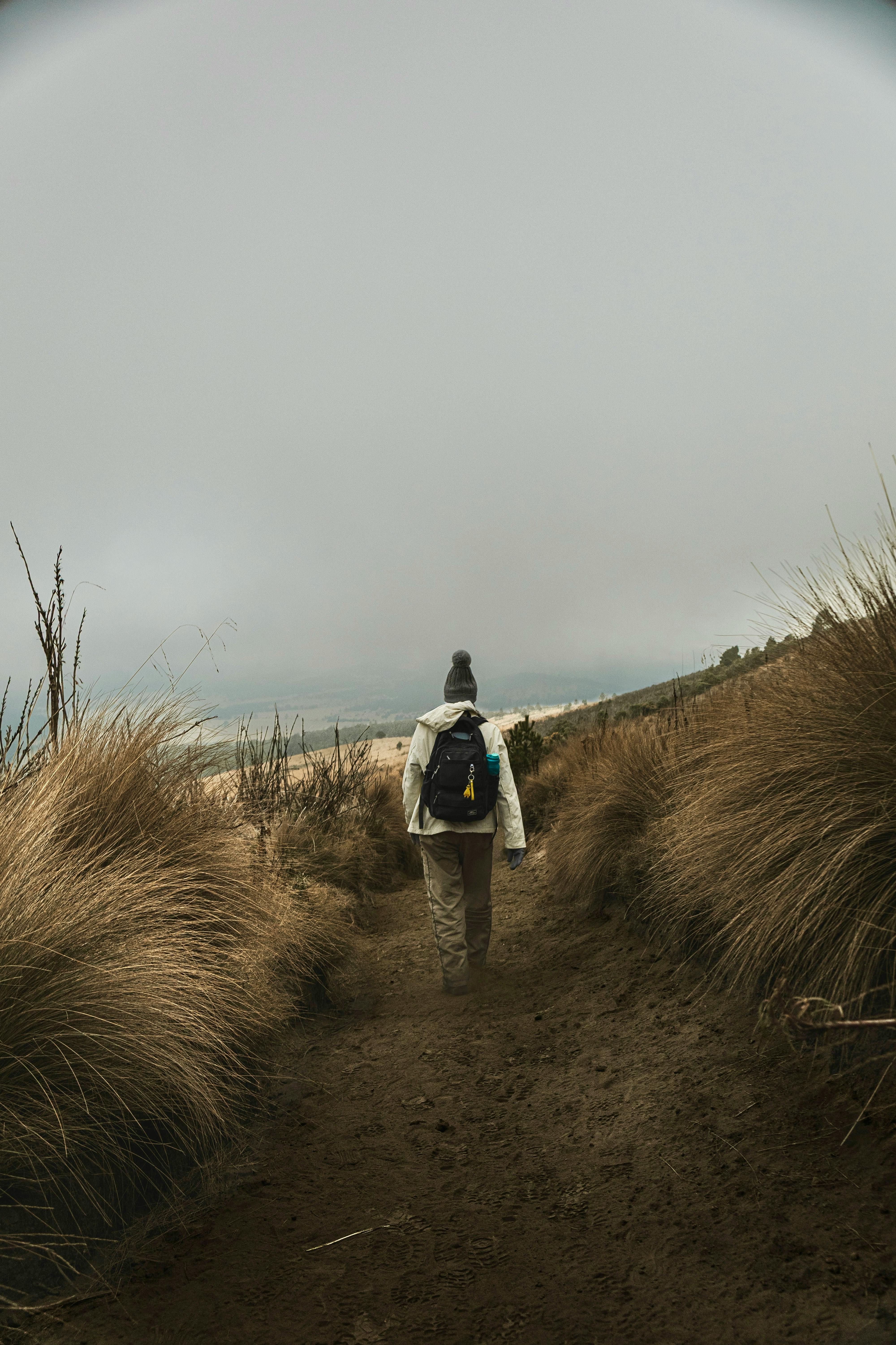 Gratis Seorang pendaki sendirian dengan ransel berjalan di jalan setapak pegunungan yang berkabut dikelilingi rerumputan. Foto Stok