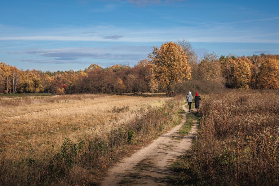 A serene autumn walk on a path surrounded by vibrant fall foliage in Poland.