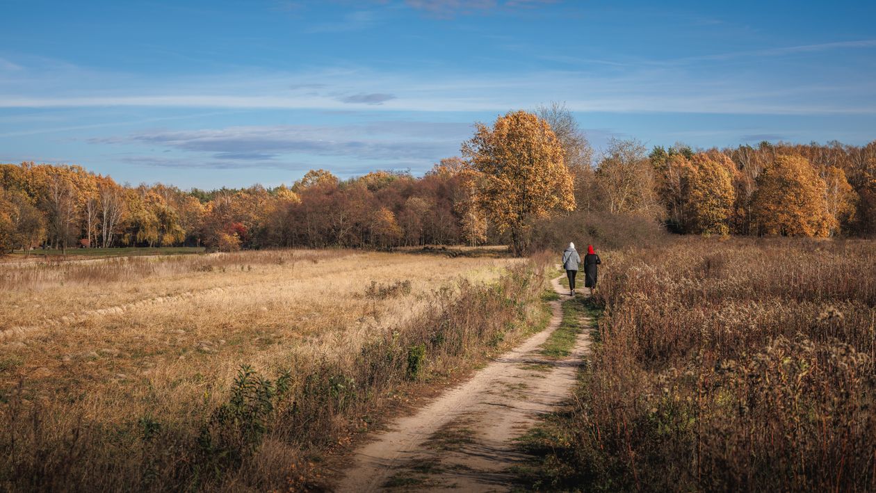 Walk In Countryside Autumn Walk in the Polish Countryside · Free Stock Photo