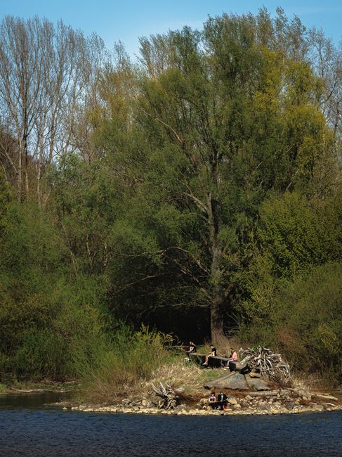 A serene scene of people relaxing on a riverbank surrounded by lush Polish greenery.