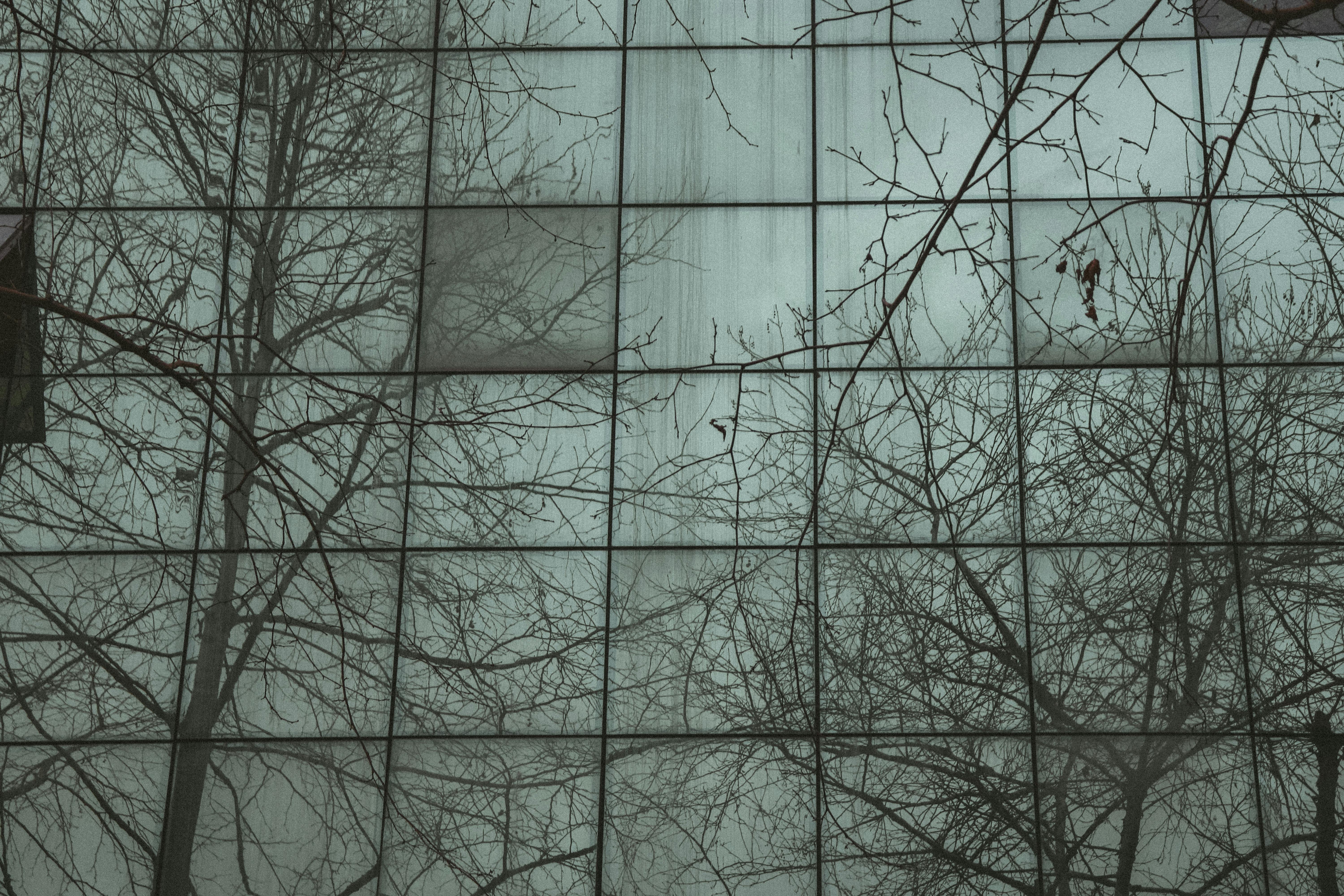 бесплатная Бесплатное стоковое фото с абстрактный, архитектура, безмятежный Стоковое фото