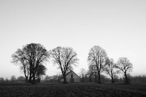 Grayscale Photo of House Near Bare Trees