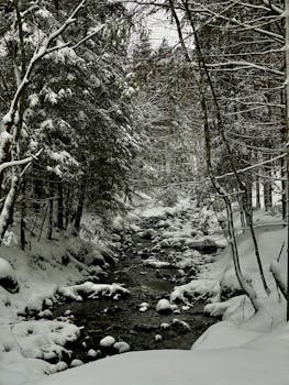 Tranquil snowy stream meandering through a lush winter forest, creating a peaceful nature scene.