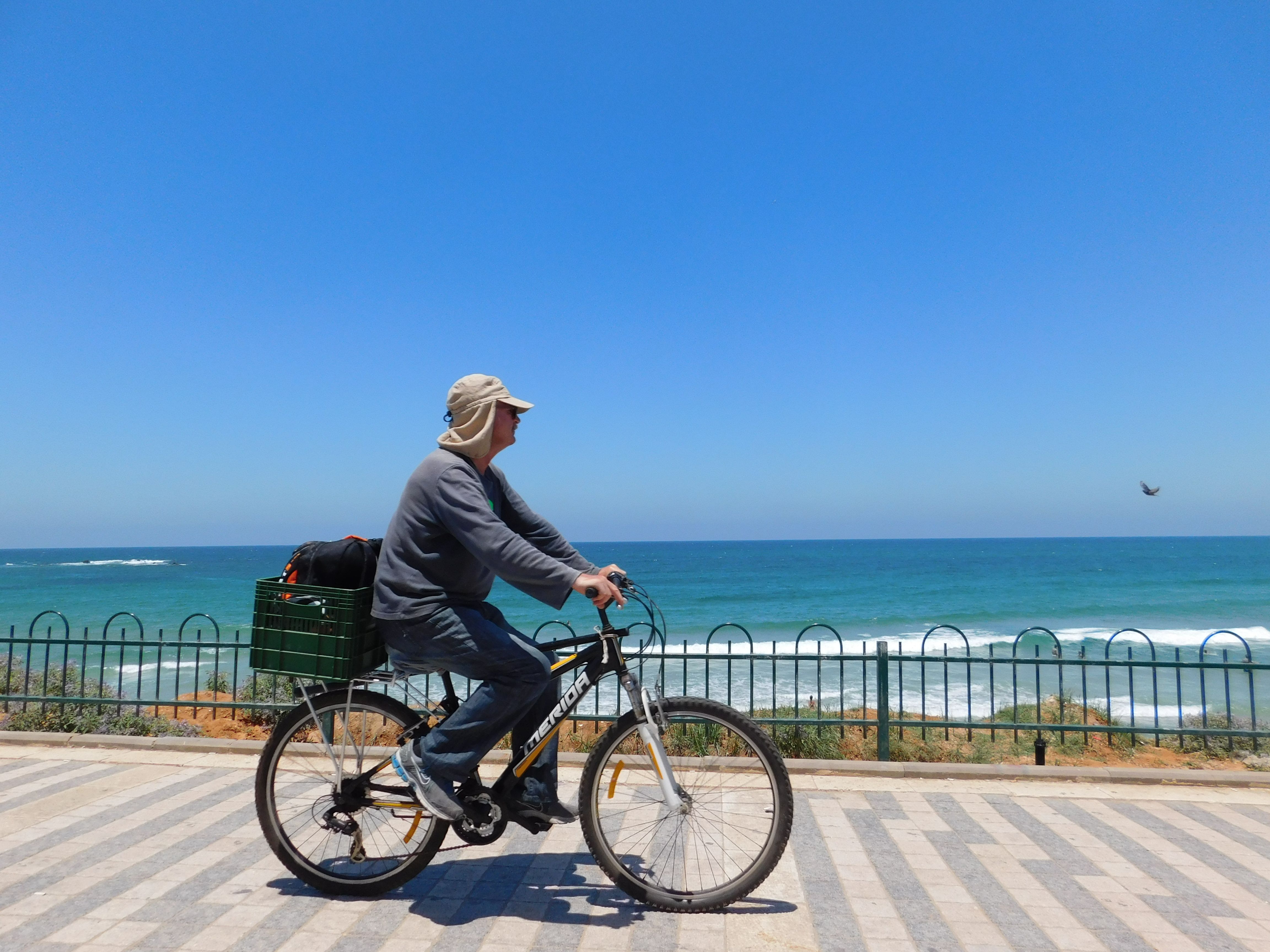 Man cycling beside the sea on a sunny day in Tel Aviv's scenic waterfront. - Tel Aviv