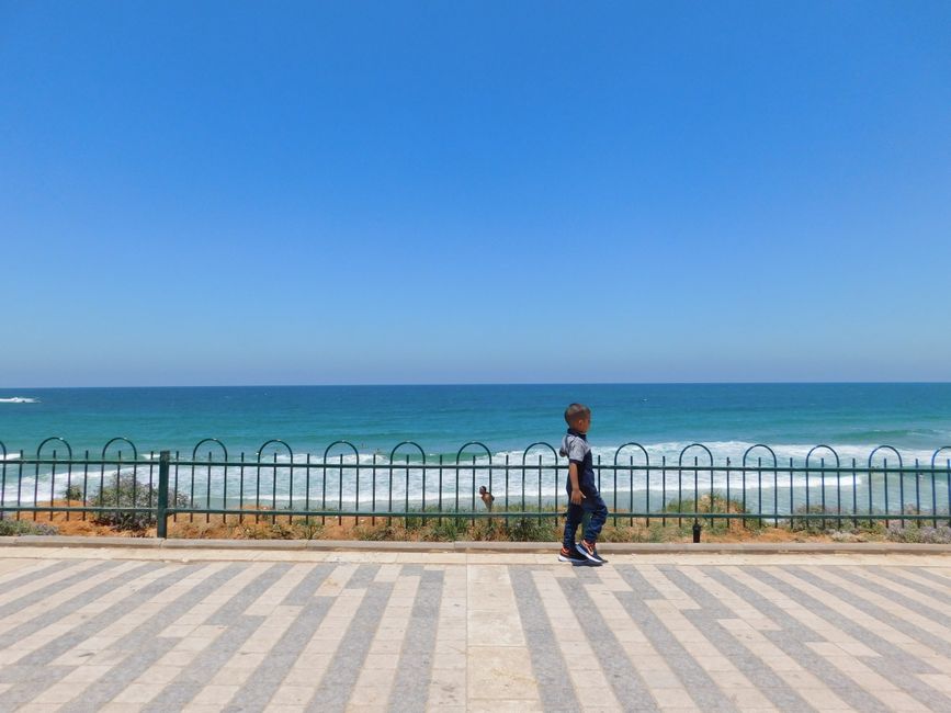Regime Failure Leaves Israeli Youth in Crisis, Relying on Diaspora