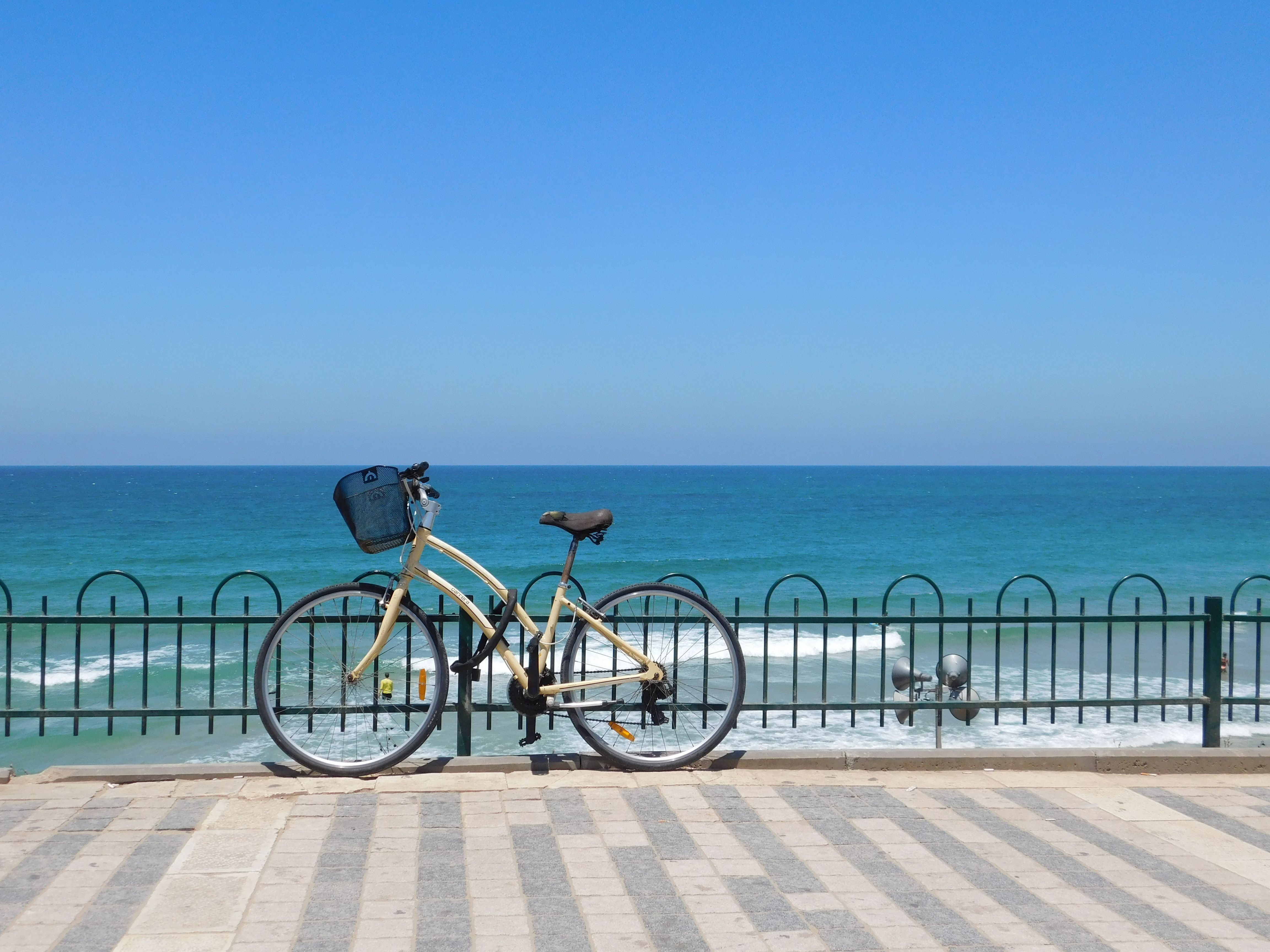 Explore the vibrant Tel Aviv beachfront with its stunning sea views and bustling promenade. — photo by Samar L. / Pexels