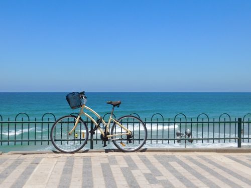 Free A lone bicycle resting against a fence with a serene view of the Mediterranean Sea in Tel Aviv. Stock Photo