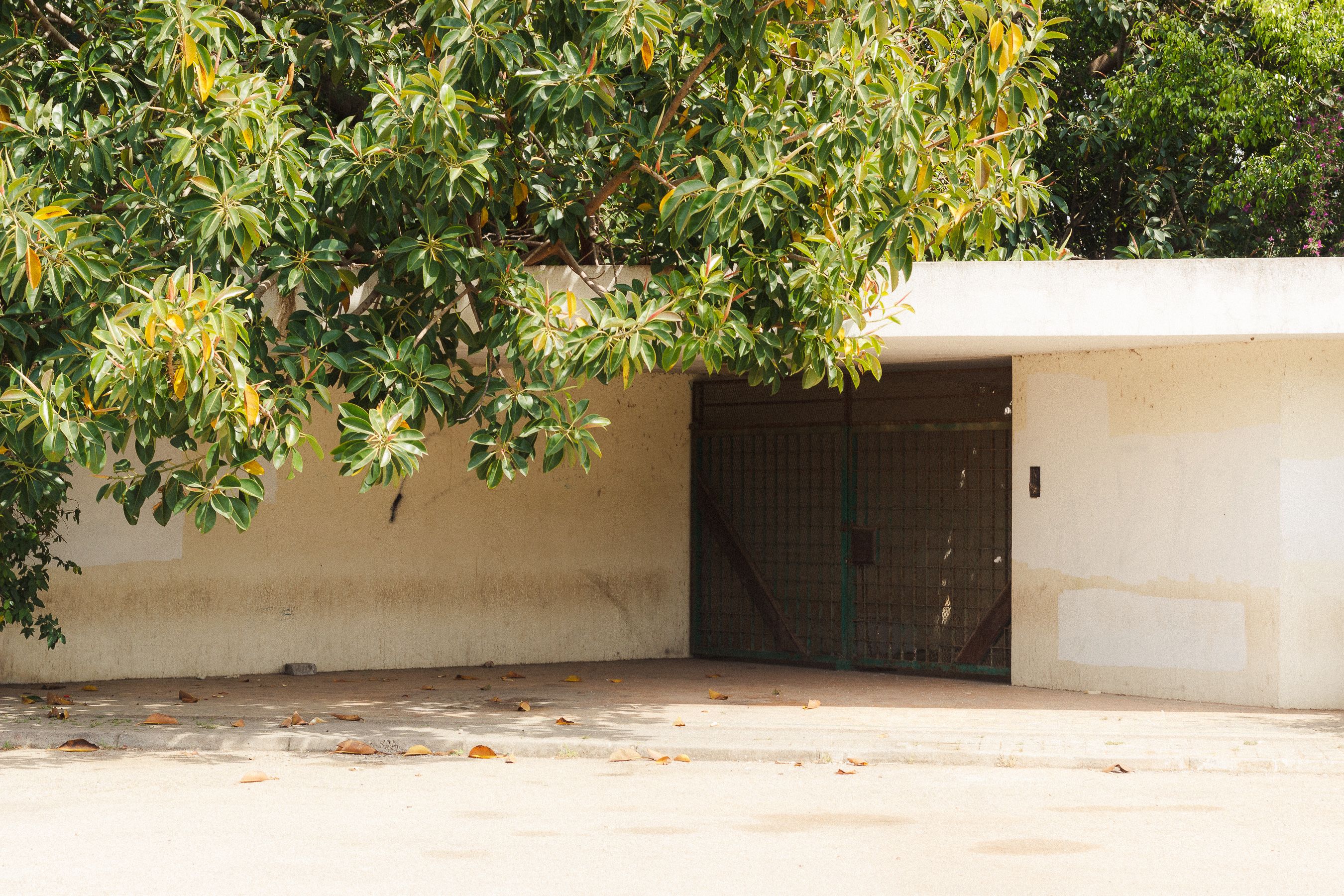 A minimalist concrete garage shaded by lush green foliage on a sunny day.