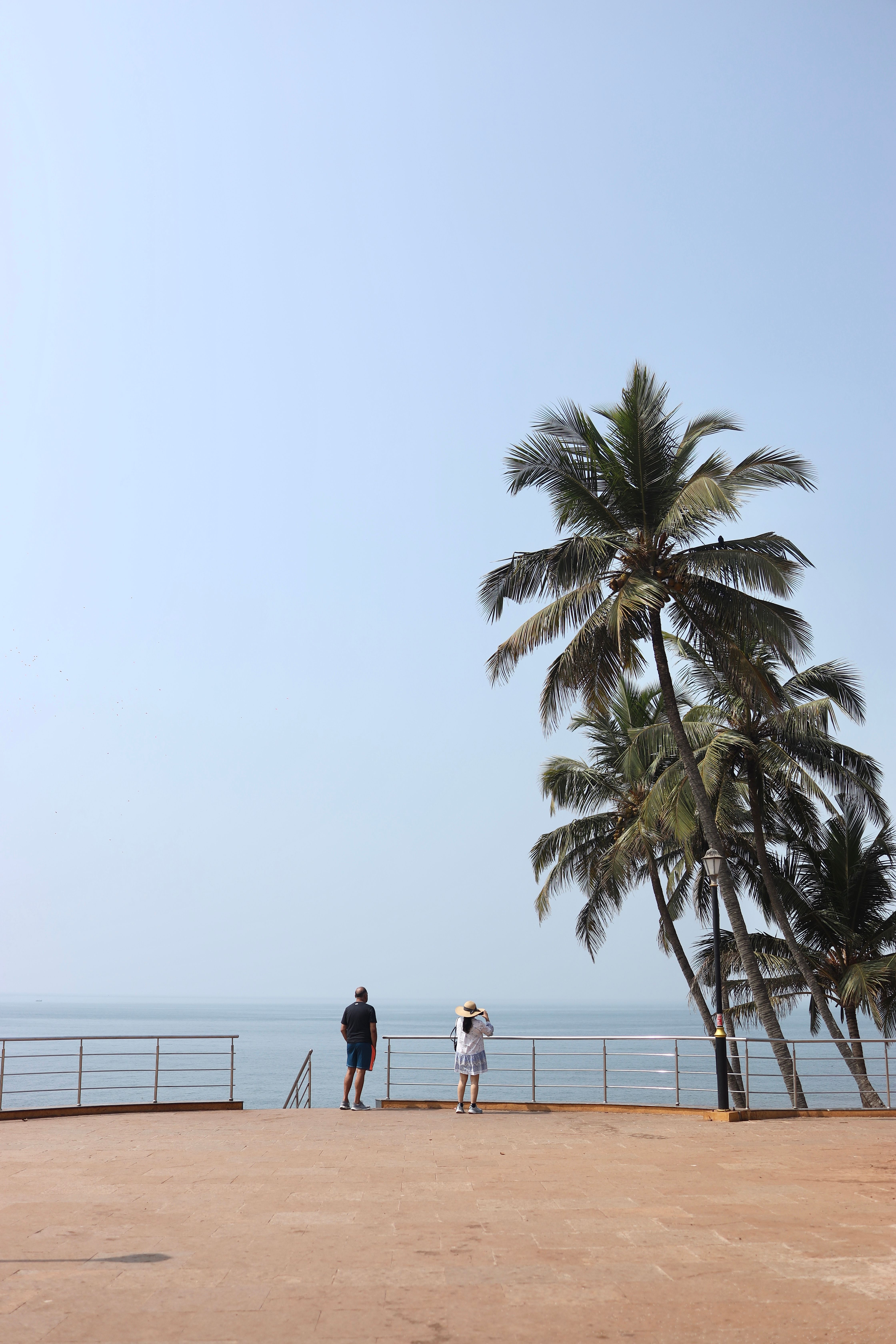 Scenic Beach View in Goa, India with Palm Trees · Free Stock Photo