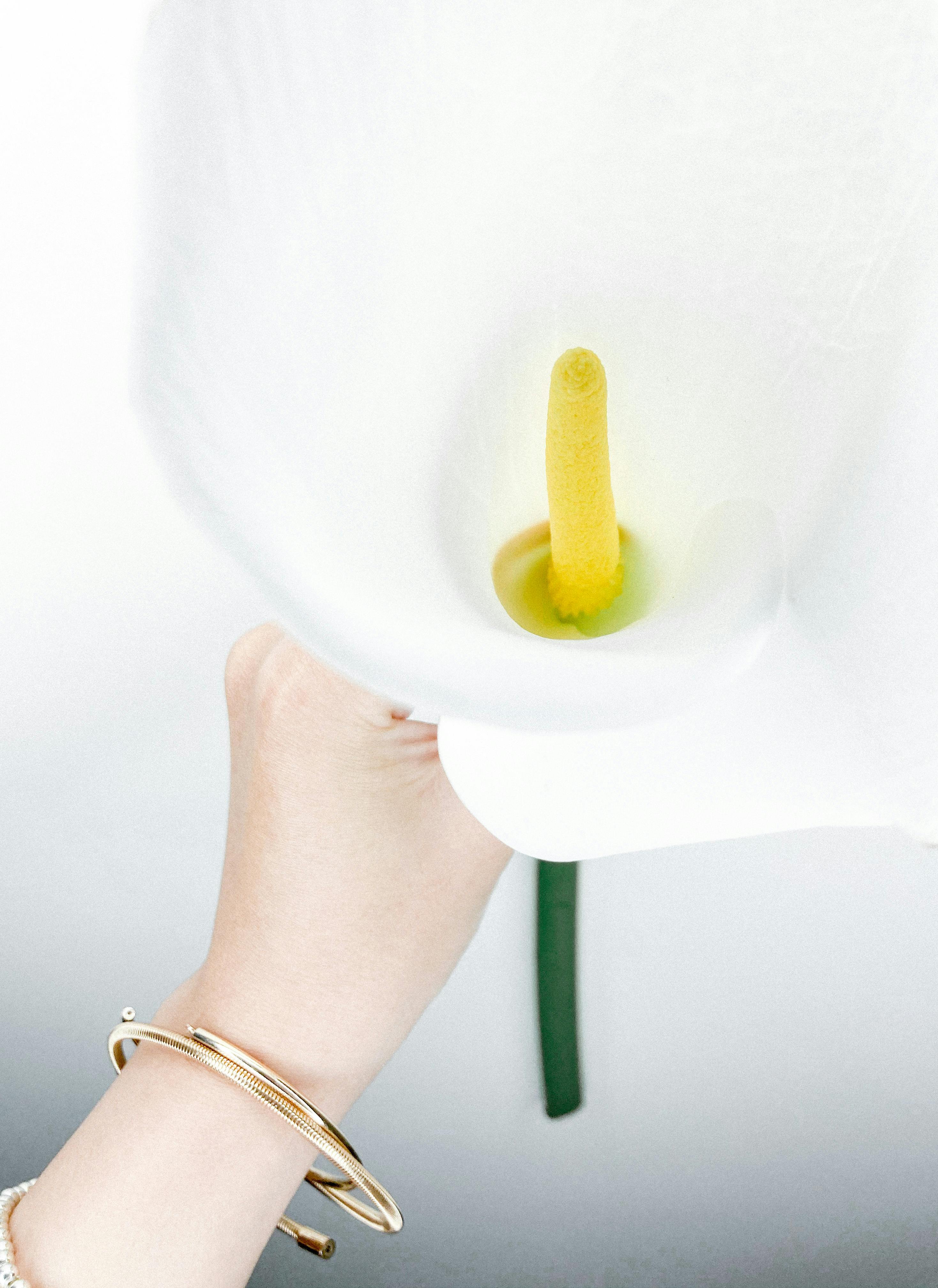 Gratis Primo piano di una mano che tiene una calla, con i suoi delicati petali bianchi e il braccialetto dorato in evidenza. Foto a disposizione