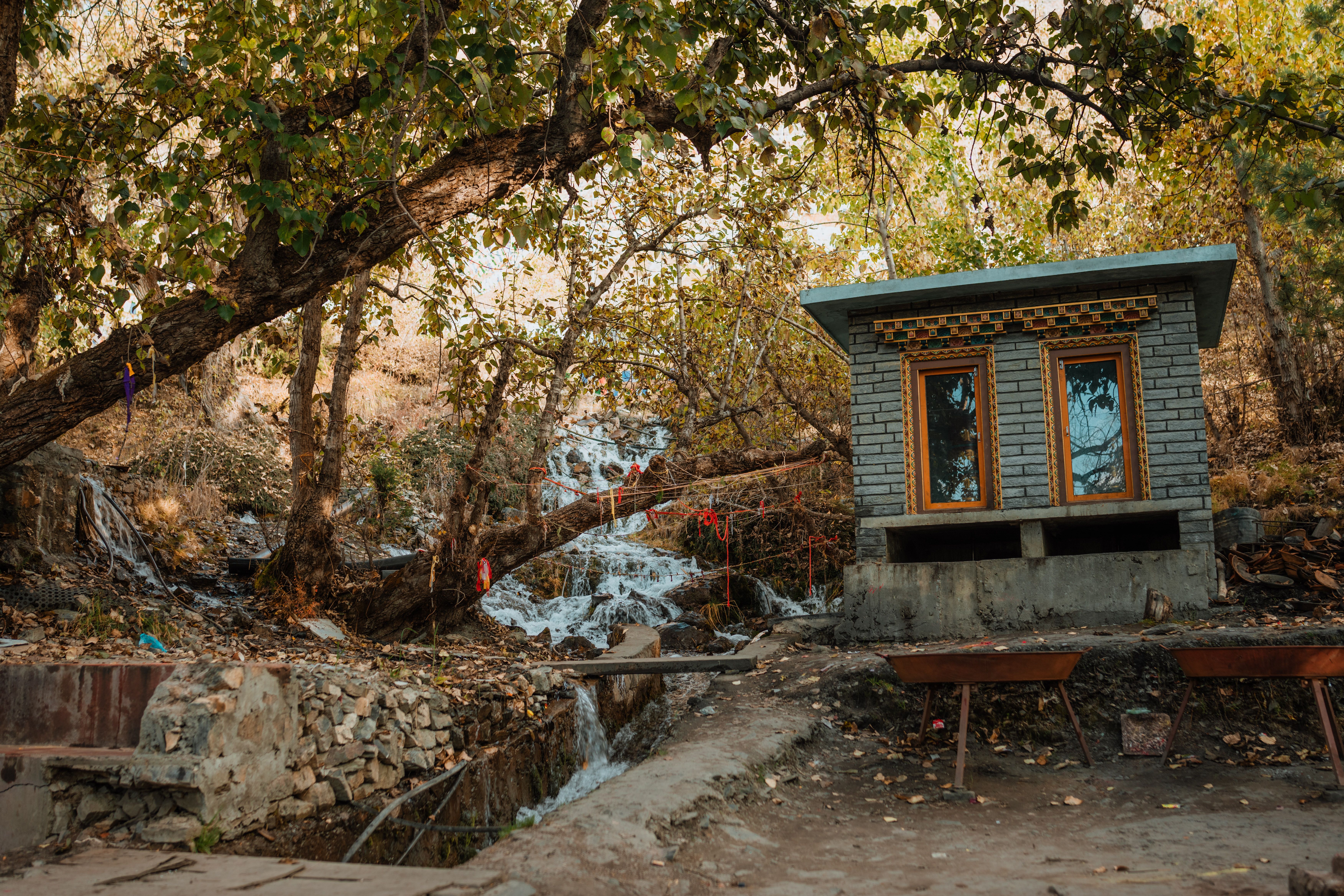Arunachal Pradesh Strengthens Community-Led Habitat Protection in Frontier Districts