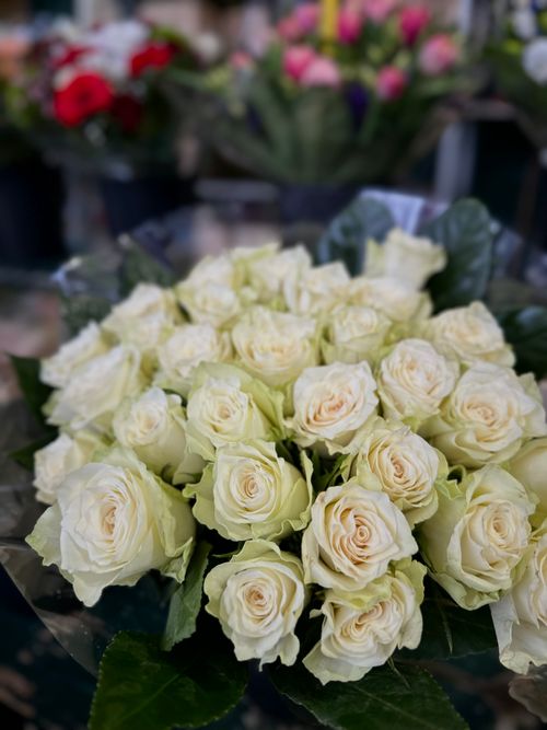 Free Close-up of a stunning bouquet of white roses with green leaves, perfect for romantic occasions. Stock Photo